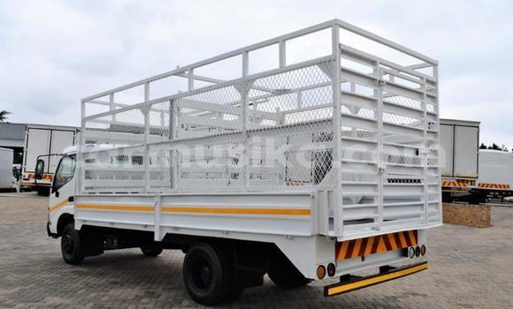 Tenga Tsaru Toyota Dyna Chena Rori in Beitbridge in Matabeleland South Tenga Tsaru Toyota Dyna Chena Rori in Beitbridge in Matabeleland South