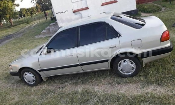 Buy Used Toyota Corolla Silver Car in Bulawayo in Bulawayo Buy Used Toyota Corolla Silver Car in Bulawayo in Bulawayo