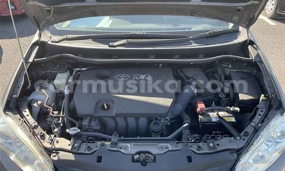 Tenga Tsaru Toyota Wish Beige Mota in Beitbridge in Matabeleland South Tenga Tsaru Toyota Wish Beige Mota in Beitbridge in Matabeleland South