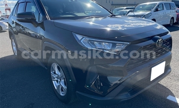 Tenga Tsaru Toyota RAV4 Nhema Mota in Beitbridge in Matabeleland South