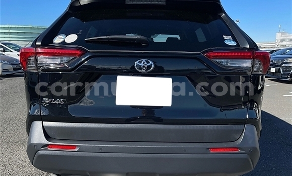 Tenga Tsaru Toyota RAV4 Nhema Mota in Beitbridge in Matabeleland South Tenga Tsaru Toyota RAV4 Nhema Mota in Beitbridge in Matabeleland South