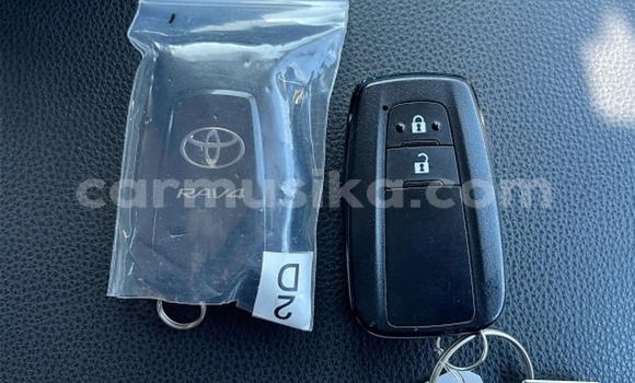 Tenga Tsaru Toyota RAV4 Nhema Mota in Beitbridge in Matabeleland South Tenga Tsaru Toyota RAV4 Nhema Mota in Beitbridge in Matabeleland South