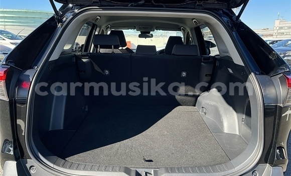 Tenga Tsaru Toyota RAV4 Nhema Mota in Beitbridge in Matabeleland South Tenga Tsaru Toyota RAV4 Nhema Mota in Beitbridge in Matabeleland South