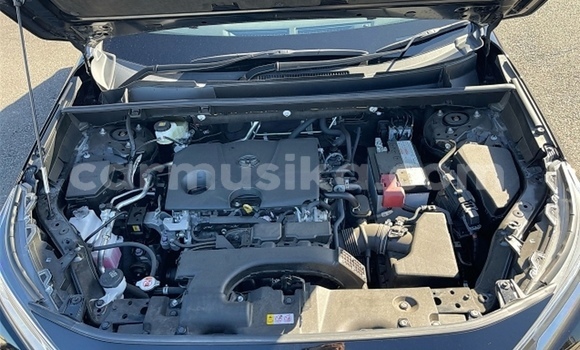 Tenga Tsaru Toyota RAV4 Nhema Mota in Beitbridge in Matabeleland South Tenga Tsaru Toyota RAV4 Nhema Mota in Beitbridge in Matabeleland South