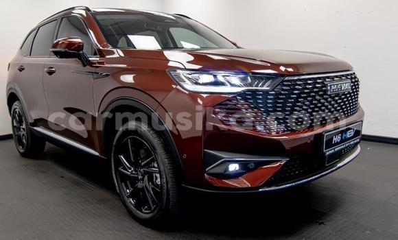 Buy Used Haval H6 Other Car in Beitbridge in Matabeleland South