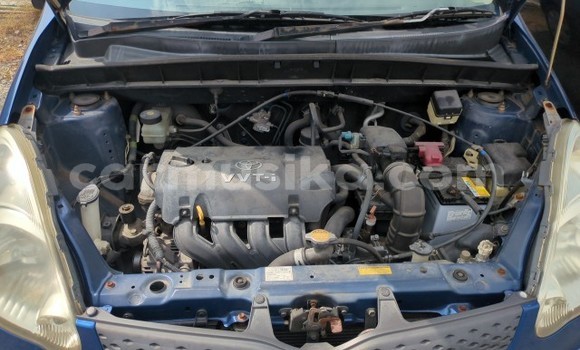 Acheter Occasion Voiture Toyota FunCargo Bleu à Beitbridge, Matabeleland South Acheter Occasion Voiture Toyota FunCargo Bleu à Beitbridge, Matabeleland South