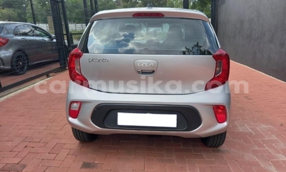 Acheter Occasion Voiture Kia Picanto Gris à Beitbridge, Matabeleland South Acheter Occasion Voiture Kia Picanto Gris à Beitbridge, Matabeleland South