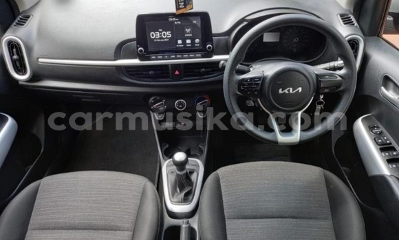 Acheter Occasion Voiture Kia Picanto Gris à Beitbridge, Matabeleland South Acheter Occasion Voiture Kia Picanto Gris à Beitbridge, Matabeleland South