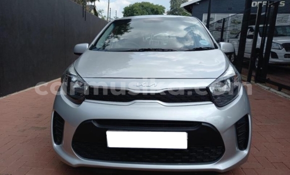 Acheter Occasion Voiture Kia Picanto Gris à Beitbridge, Matabeleland South Acheter Occasion Voiture Kia Picanto Gris à Beitbridge, Matabeleland South