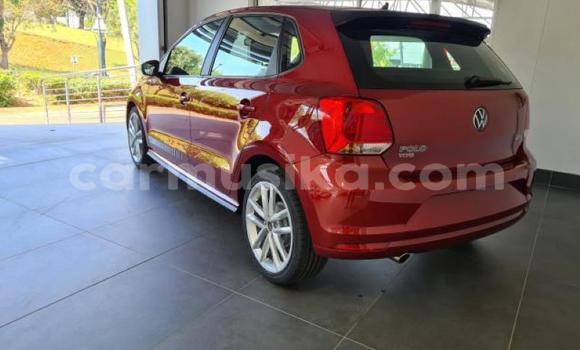 Acheter Occasion Voiture Volkswagen Polo Rouge à Beitbridge, Matabeleland South Acheter Occasion Voiture Volkswagen Polo Rouge à Beitbridge, Matabeleland South