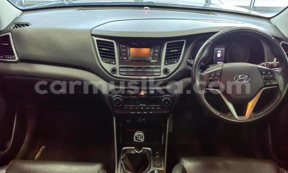 Acheter Occasion Voiture Hyundai Tucson Bleu à Beitbridge, Matabeleland South Acheter Occasion Voiture Hyundai Tucson Bleu à Beitbridge, Matabeleland South