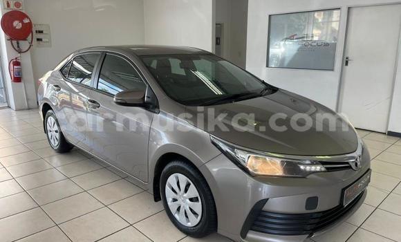Nunua Ilio tumika Toyota Corolla Fedha Gari ndani ya Beitbridge nchini Matabeleland Kusini