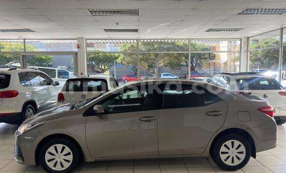 Acheter Occasion Voiture Toyota Corolla Gris à Beitbridge, Matabeleland South Acheter Occasion Voiture Toyota Corolla Gris à Beitbridge, Matabeleland South