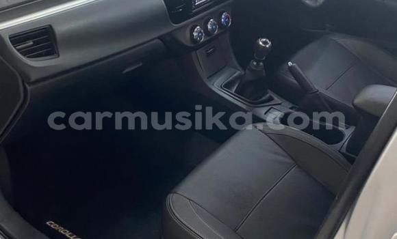 Acheter Occasion Voiture Toyota Corolla Gris à Beitbridge, Matabeleland South Acheter Occasion Voiture Toyota Corolla Gris à Beitbridge, Matabeleland South