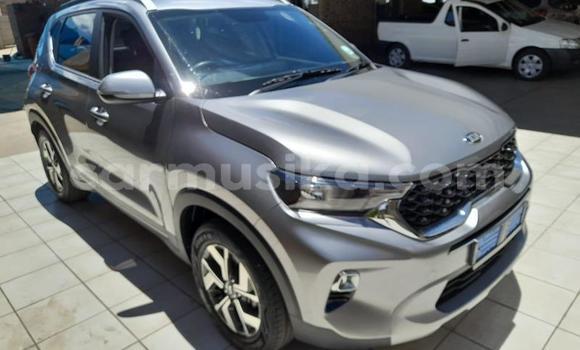 Buy Used Kia Stonic Other Car in Beitbridge in Matabeleland South