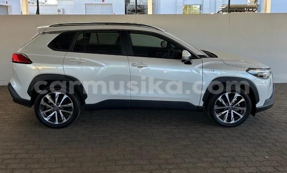 Nunua Ilio tumika Toyota Corolla Cross Nyeupe Gari ndani ya Beitbridge nchini Matabeleland Kusini Nunua Ilio tumika Toyota Corolla Cross Nyeupe Gari ndani ya Beitbridge nchini Matabeleland Kusini