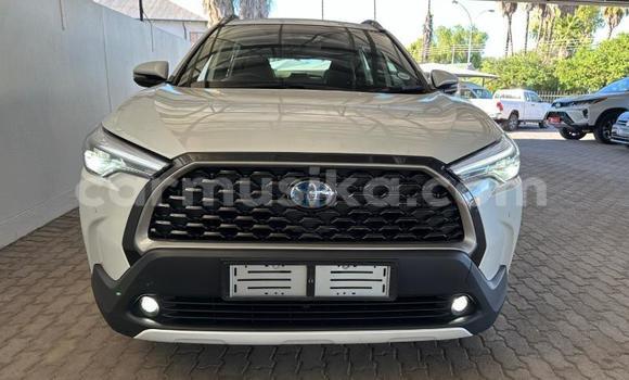 Nunua Ilio tumika Toyota Corolla Cross Nyeupe Gari ndani ya Beitbridge nchini Matabeleland Kusini Nunua Ilio tumika Toyota Corolla Cross Nyeupe Gari ndani ya Beitbridge nchini Matabeleland Kusini