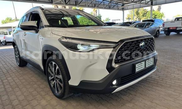 Nunua Ilio tumika Toyota Corolla Cross Nyeupe Gari ndani ya Beitbridge nchini Matabeleland Kusini Nunua Ilio tumika Toyota Corolla Cross Nyeupe Gari ndani ya Beitbridge nchini Matabeleland Kusini