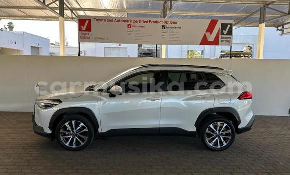 Nunua Ilio tumika Toyota Corolla Cross Nyeupe Gari ndani ya Beitbridge nchini Matabeleland Kusini Nunua Ilio tumika Toyota Corolla Cross Nyeupe Gari ndani ya Beitbridge nchini Matabeleland Kusini