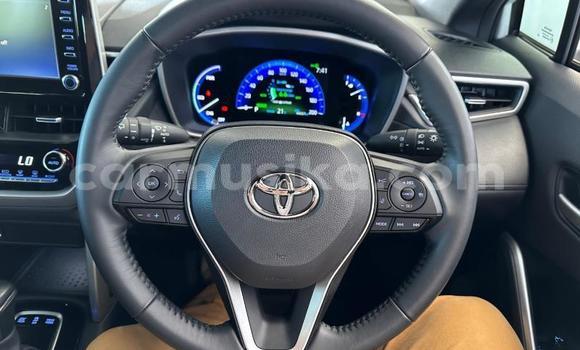 Nunua Ilio tumika Toyota Corolla Cross Nyeupe Gari ndani ya Beitbridge nchini Matabeleland Kusini Nunua Ilio tumika Toyota Corolla Cross Nyeupe Gari ndani ya Beitbridge nchini Matabeleland Kusini