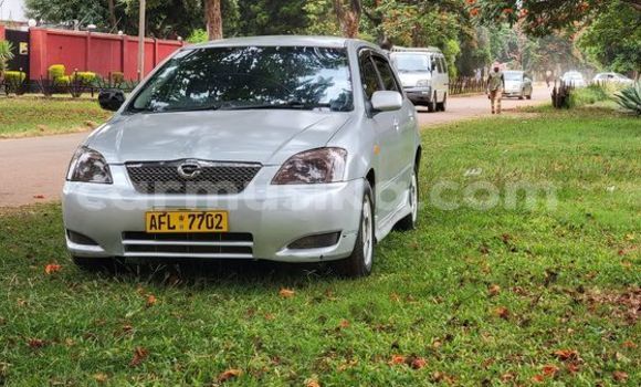 Buy Used Toyota Runx Other Car in Bindura in Mashonaland Central