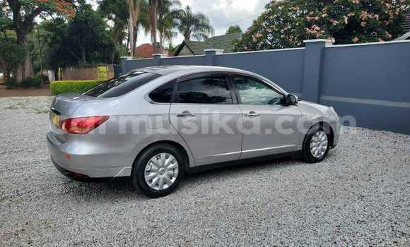 Buy Used Nissan Sylphy Other Car in Belvedere in Harare Buy Used Nissan Sylphy Other Car in Belvedere in Harare