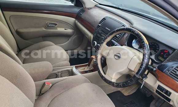 Buy Used Nissan Sylphy Other Car in Belvedere in Harare Buy Used Nissan Sylphy Other Car in Belvedere in Harare