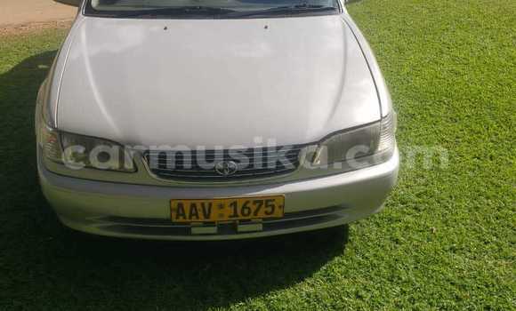 Buy Used Toyota Corolla Other Car in Greendale in Harare