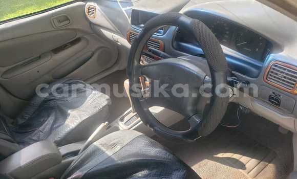Buy Used Toyota Corolla Other Car in Greendale in Harare Buy Used Toyota Corolla Other Car in Greendale in Harare