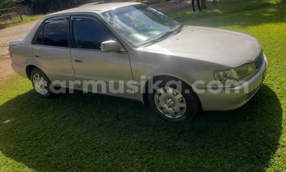 Buy Used Toyota Corolla Other Car in Greendale in Harare Buy Used Toyota Corolla Other Car in Greendale in Harare