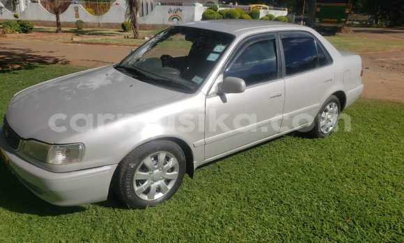 Buy Used Toyota Corolla Other Car in Greendale in Harare Buy Used Toyota Corolla Other Car in Greendale in Harare