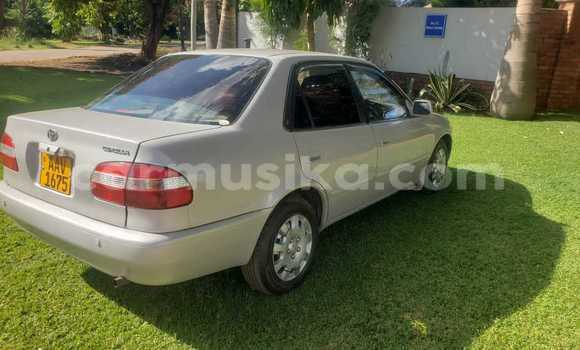 Buy Used Toyota Corolla Other Car in Greendale in Harare Buy Used Toyota Corolla Other Car in Greendale in Harare