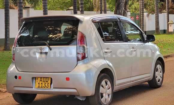 Buy Used Toyota Passo Other Car in Bindura in Mashonaland Central Buy Used Toyota Passo Other Car in Bindura in Mashonaland Central