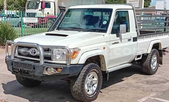 Tenga Tsaru Toyota Land Cruiser Chena Mota in Bulawayo in Bulawayo
