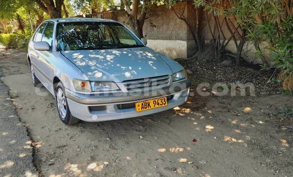 Buy Used Toyota Premio White Car in Belvedere in Harare