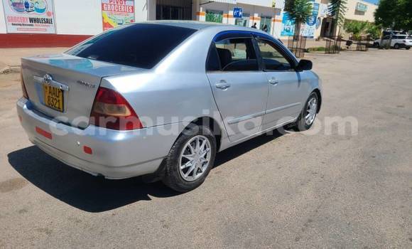 Acheter Occasion Voiture Toyota Corolla Autre à Chegutu, Mashonaland West