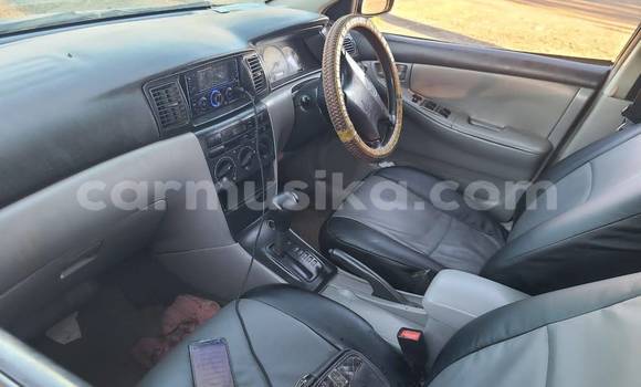 Nunua Ilio tumika Toyota Corolla Nyingine Gari ndani ya Chegutu nchini Mashonaland West Nunua Ilio tumika Toyota Corolla Nyingine Gari ndani ya Chegutu nchini Mashonaland West