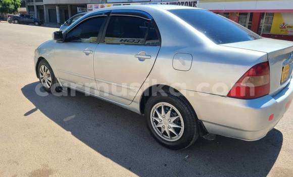 Nunua Ilio tumika Toyota Corolla Nyingine Gari ndani ya Chegutu nchini Mashonaland West Nunua Ilio tumika Toyota Corolla Nyingine Gari ndani ya Chegutu nchini Mashonaland West