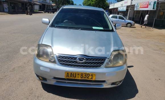 Nunua Ilio tumika Toyota Corolla Nyingine Gari ndani ya Chegutu nchini Mashonaland West Nunua Ilio tumika Toyota Corolla Nyingine Gari ndani ya Chegutu nchini Mashonaland West