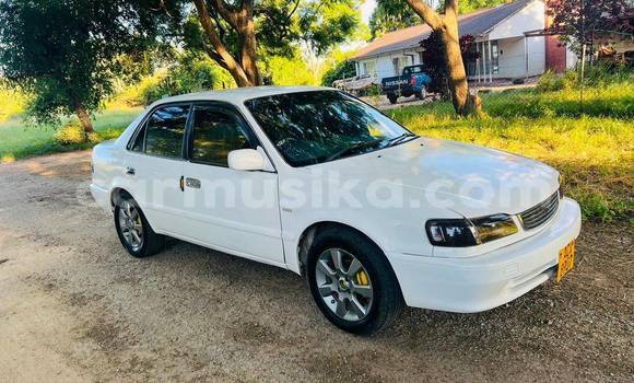 Nunua Ilio tumika Toyota Corolla Nyeupe Gari ndani ya Bulawayo nchini Bulawayo Nunua Ilio tumika Toyota Corolla Nyeupe Gari ndani ya Bulawayo nchini Bulawayo