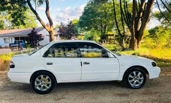 Nunua Ilio tumika Toyota Corolla Nyeupe Gari ndani ya Bulawayo nchini Bulawayo Nunua Ilio tumika Toyota Corolla Nyeupe Gari ndani ya Bulawayo nchini Bulawayo