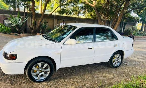 Nunua Ilio tumika Toyota Corolla Nyeupe Gari ndani ya Bulawayo nchini Bulawayo Nunua Ilio tumika Toyota Corolla Nyeupe Gari ndani ya Bulawayo nchini Bulawayo