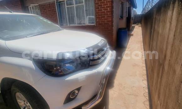 Tenga Tsaru Toyota Hilux Chena Mota in Beitbridge in Matabeleland South Tenga Tsaru Toyota Hilux Chena Mota in Beitbridge in Matabeleland South