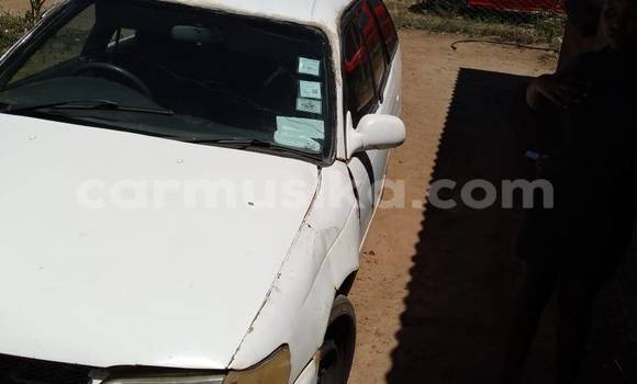 Buy Used Toyota Corolla White Car in Belvedere in Harare