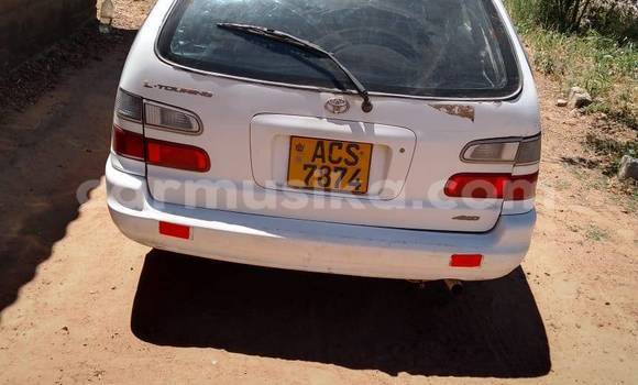 Tenga Tsaru Toyota Corolla Chena Mota in Belvedere in Harare Tenga Tsaru Toyota Corolla Chena Mota in Belvedere in Harare