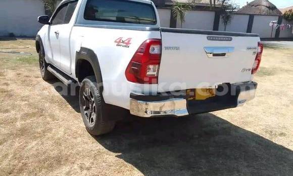 Acheter Occasion Voiture Toyota Hilux Blanc à Belvédère, Harare Acheter Occasion Voiture Toyota Hilux Blanc à Belvédère, Harare