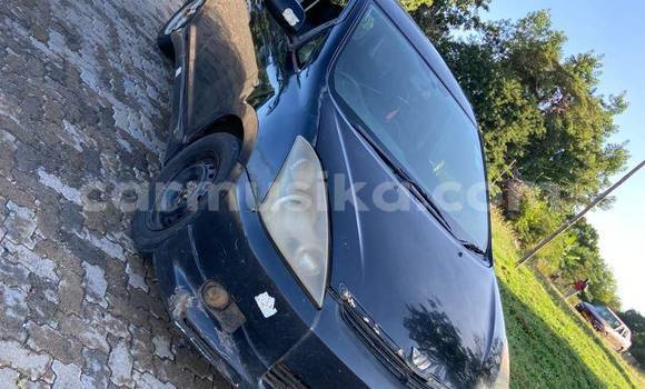 Nunua Ilio tumika Toyota Wish Nyeupe Gari ndani ya Belvedere nchini Harare