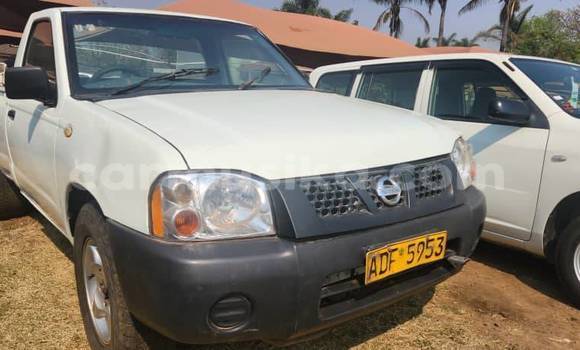Nunua Ilio tumika Nissan Hardbody Nyeupe Gari ndani ya Borrowdale nchini Harare