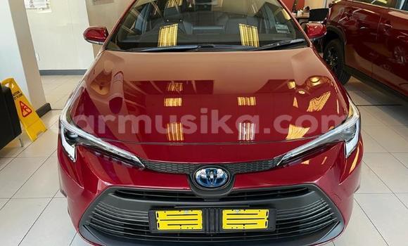 Nunua Ilio tumika Toyota Corolla Nyekundu Gari ndani ya Beitbridge nchini Matabeleland Kusini Nunua Ilio tumika Toyota Corolla Nyekundu Gari ndani ya Beitbridge nchini Matabeleland Kusini