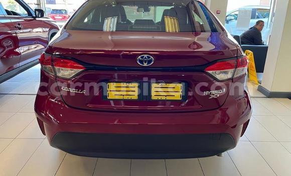 Nunua Ilio tumika Toyota Corolla Nyekundu Gari ndani ya Beitbridge nchini Matabeleland Kusini Nunua Ilio tumika Toyota Corolla Nyekundu Gari ndani ya Beitbridge nchini Matabeleland Kusini